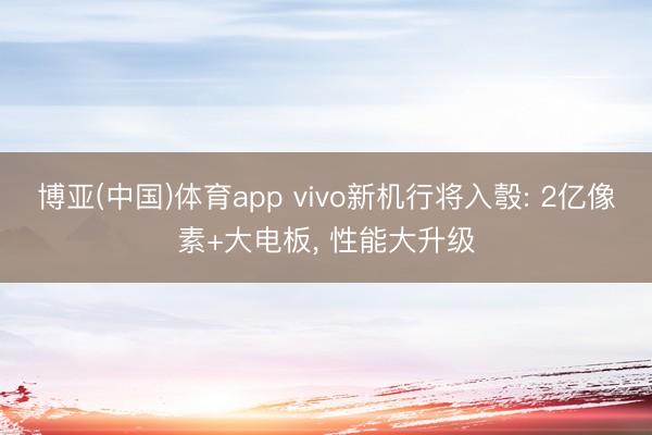 博亚(中国)体育app vivo新机行将入彀: 2亿像素+大电板， 性能大升级