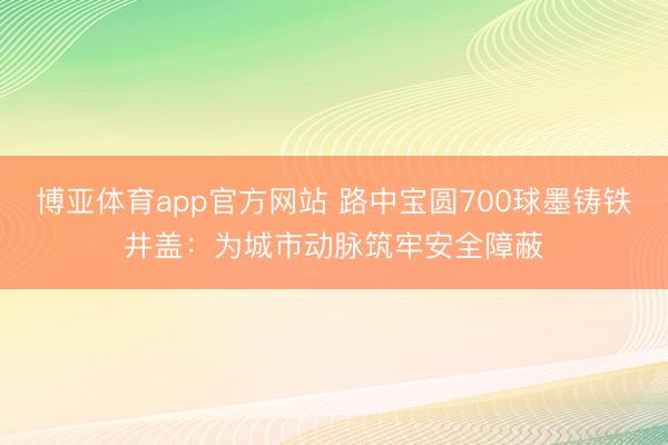 博亚体育app官方网站 路中宝圆700球墨铸铁井盖：为城市动脉筑牢安全障蔽
