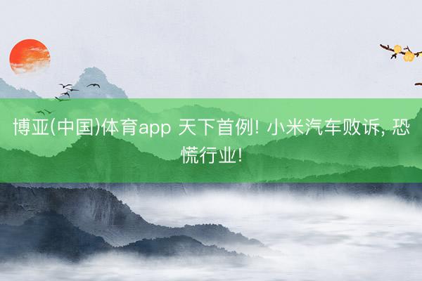 博亚(中国)体育app 天下首例! 小米汽车败诉， 恐慌行业!