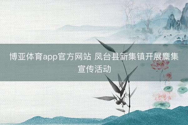 博亚体育app官方网站 凤台县新集镇开展麇集宣传活动