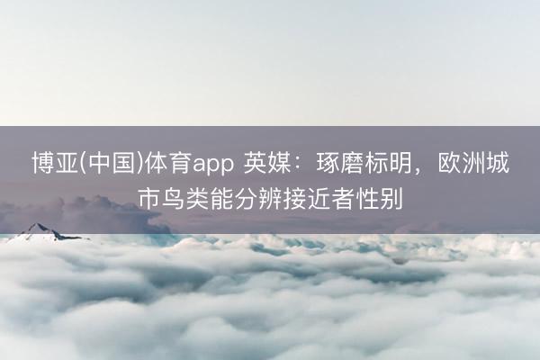 博亚(中国)体育app 英媒：琢磨标明，欧洲城市鸟类能分辨接近者性别
