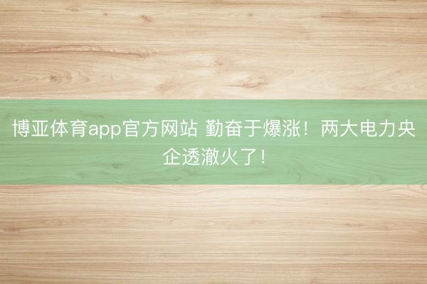 博亚体育app官方网站 勤奋于爆涨！两大电力央企透澈火了！