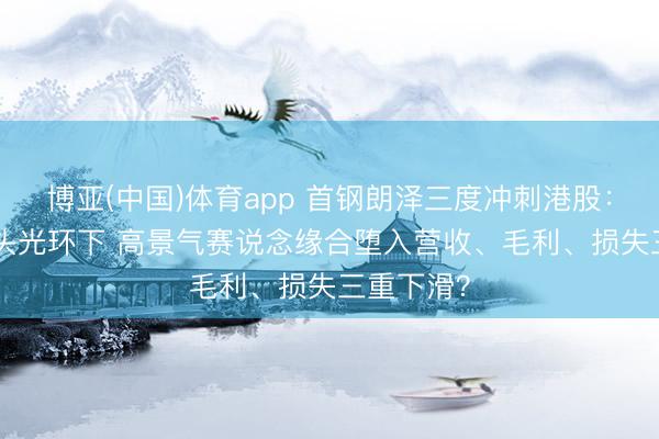 博亚(中国)体育app 首钢朗泽三度冲刺港股：CCUS龙头光环下 高景气赛说念缘合堕入营收、毛利、损失三重下滑？