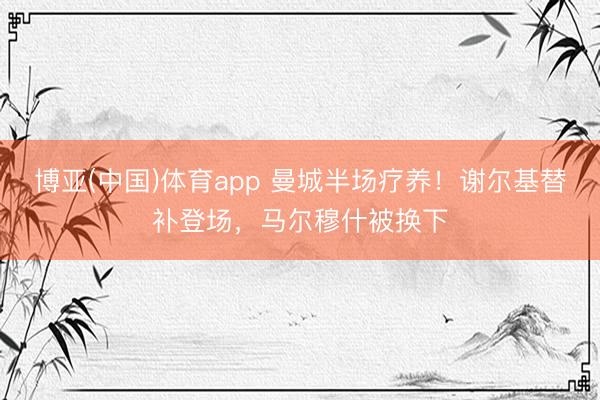博亚(中国)体育app 曼城半场疗养！谢尔基替补登场，<a href=