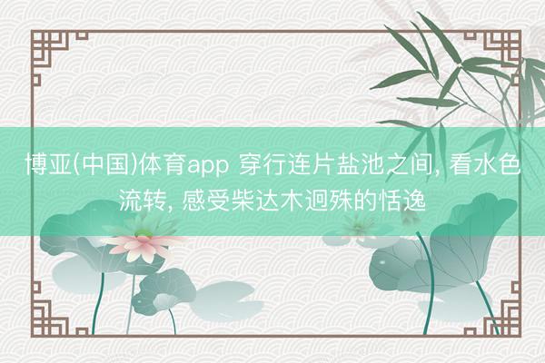博亚(中国)体育app 穿行连片盐池之间, 看水色流转, 感受柴达木迥殊的恬逸