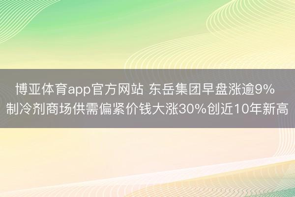 博亚体育app官方网站 东岳集团早盘涨逾9% 制冷剂商场供需偏紧价钱大涨30%创近10年新高